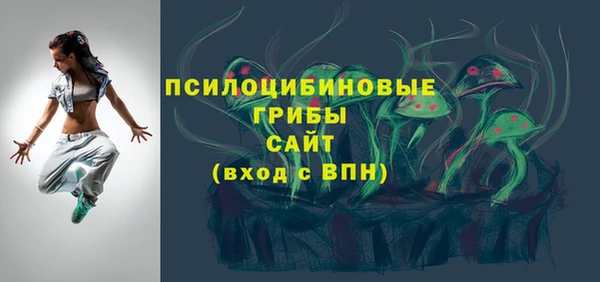 индика Козельск