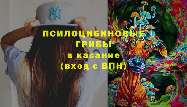 метадон Арсеньев