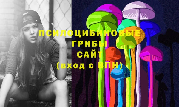круглые Аркадак