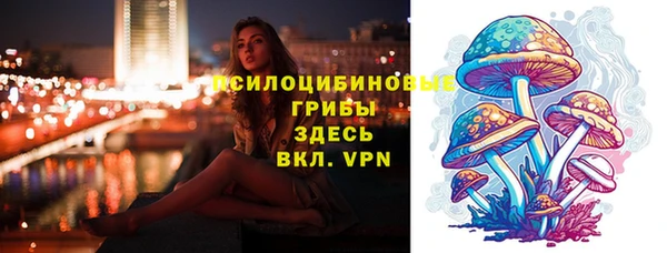 круглые Аркадак