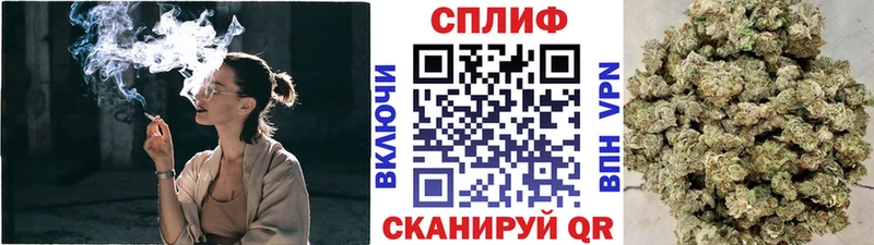 Бошки марихуана сатива  сколько стоит  Белокуриха 